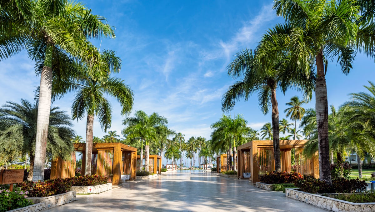 viva wyndham v samana dominican republic