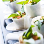 Spring Roll