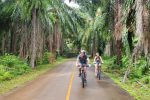 Jungle Cycling Tour - Full Day