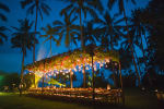 The Coconut Grove