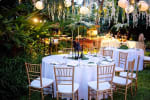 Lily Pond Garden