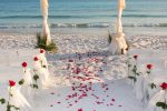 The Beachfront