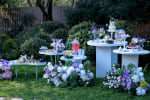 Outdoor Lawn