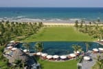 Beachfront Grassland