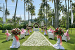 Tropical Coconut Garden