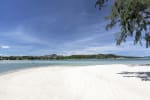 The Beach