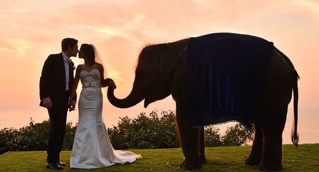 clifftopwedding18