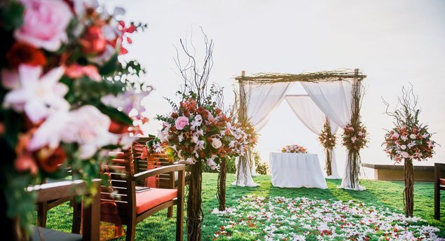 clifftopwedding19