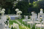 Lush Garden