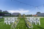 Soiree Green Grass