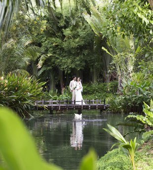 gardenwedding7