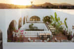 Oasis Terrace