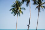 Beach Lawn