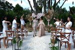 The Banyan Tree