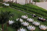 The Wedding Lawn