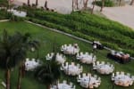 The Wedding Lawn