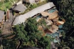Jungle Pool