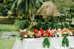 Orchid Garden