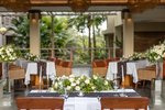 Tropical Garden