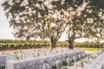 Oaks & Vineyards