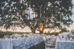 Oaks & Vineyards