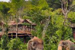 Elephant Sanctuary - Half-Day Program