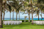 Tropicana Lawn