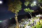 Beachfront Grass Area