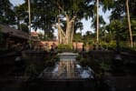 Banyan Tree Deck