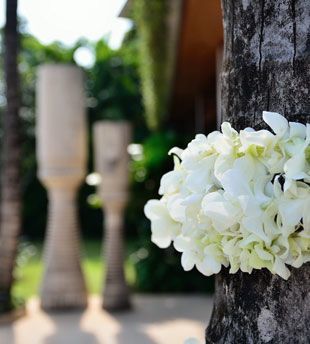 privatevillawedding6