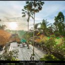 Agus Salim