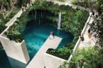 The Cove