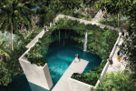 The Cove