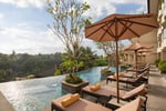 Twin Infinity Pools