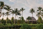 Outdoor Setting (Beach or Garden)
