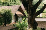 Tamarind Tree Courtyard
