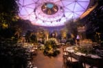 The Ballroom