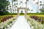 Lush Garden