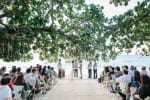 Sea Almond Tree Beach