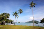 Beachfront Garden