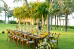 Hang Ten Beach Bar & Grill Lawn