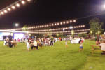 Green Lawn
