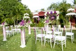 The Garden